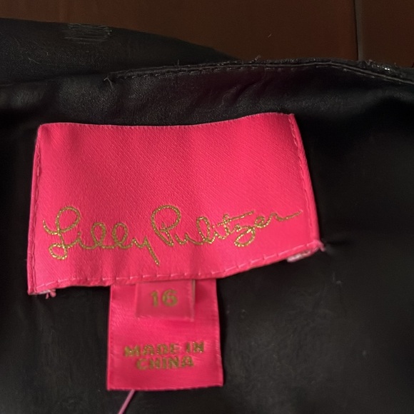 NWT Lilly Pulitzer Maisel Silk Dress Size 16 - Picture 7 of 7